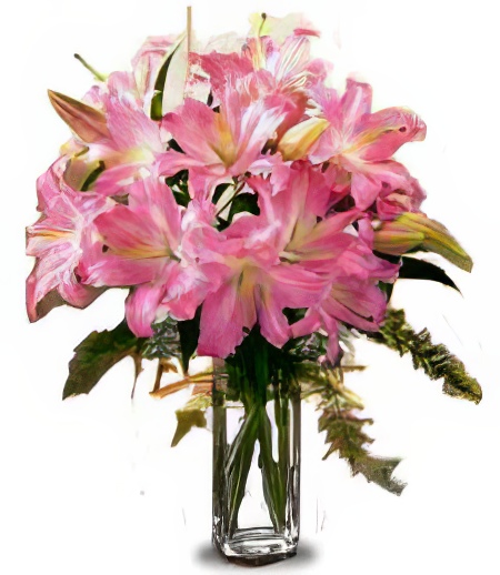 Lovely Pink Lilies
