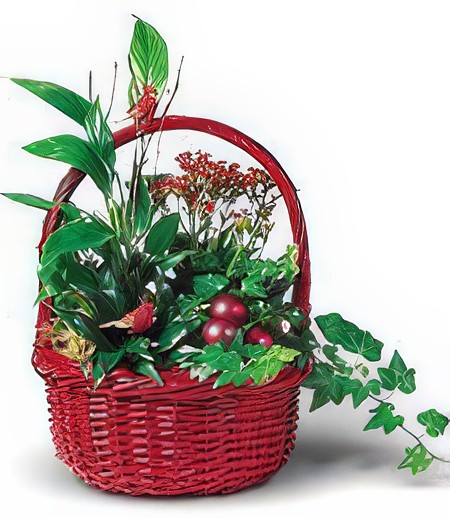 Red Christmas Basket Garden