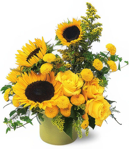 Sunflowers of Heaven