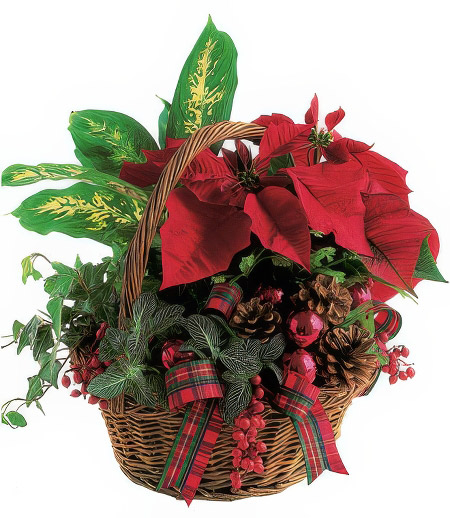 Christmas Holiday Planter Basket