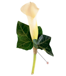Elegant Boutonniere