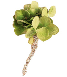 Natural Green Boutonniere
