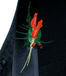 Scarlet Boutonniere