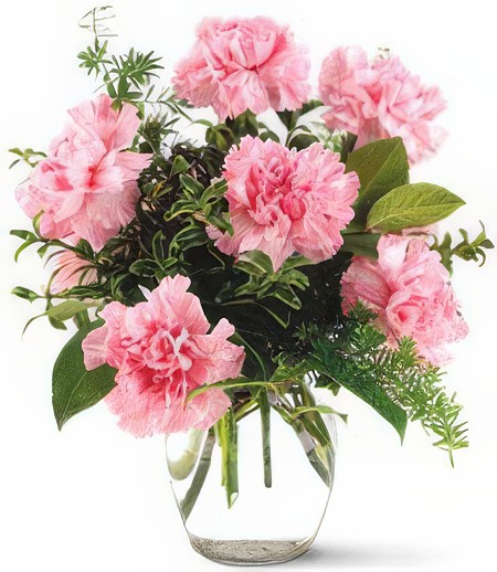 Pink Notion Vase