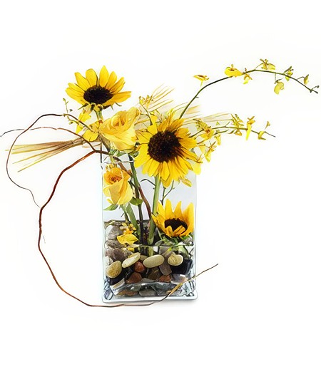 Gift of Nature Thinking of You Arrangement