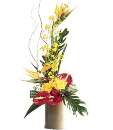 Tropical Treasures Thinking of You Arrangement