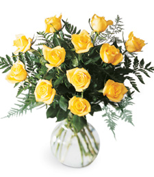 Sweet and Soft Rose Get Well Bouquet