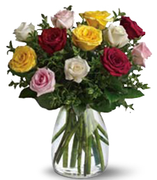 Roses