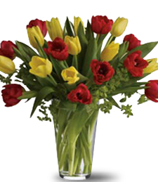 Vivid Delights Mother's Day Bouquet