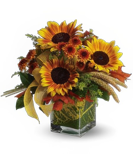 Sunflower Funflowers!