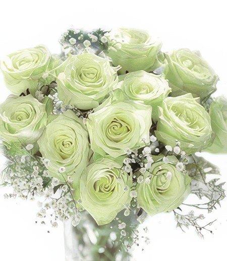 Blushing White Roses