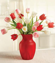 Tulips for Lovers