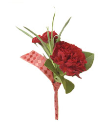 Crimson Carnations Duo