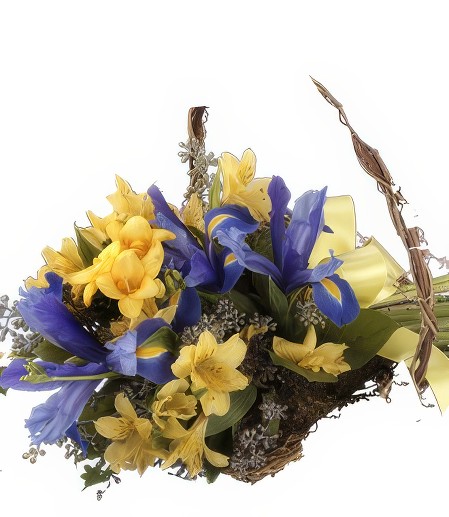 Enchanted Hues Get Well Bouquet