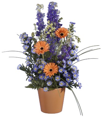 Vibrant Meadows Get Well Bouquet