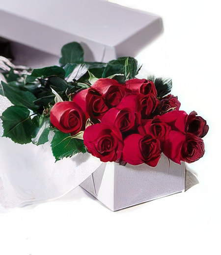 One Dozen Boxed Red  Roses