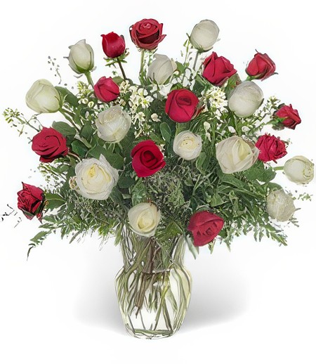 Two Dozen Red & White Roses