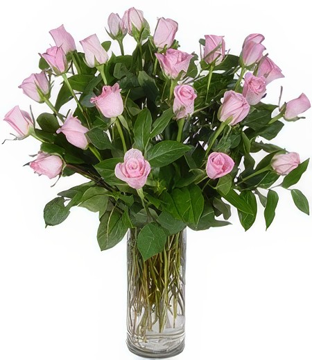 Two-Dozen Pink Birthday Roses