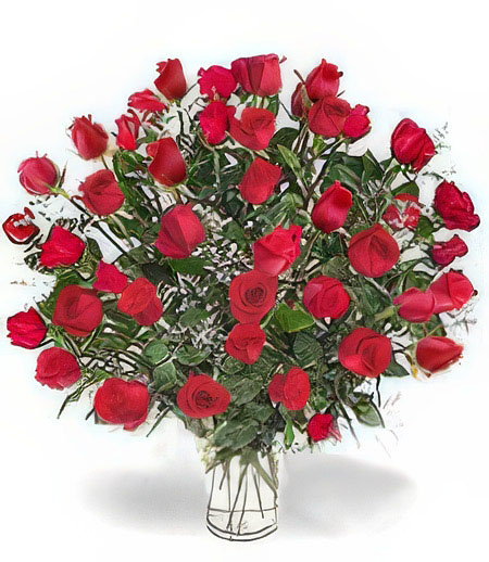 4-Dozen Love Roses