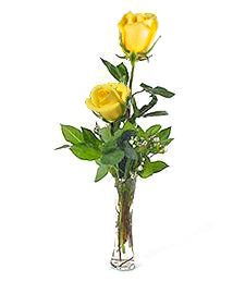 Two Yellow Anniversary Roses