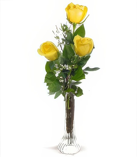 Three Yellow Birthday Roses
