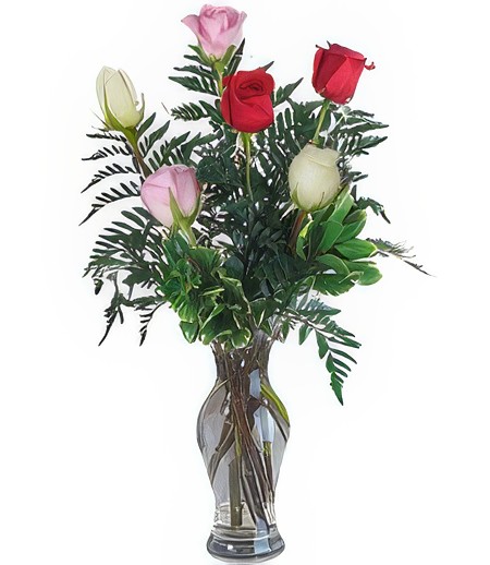 Half-Dozen Assorted Valentine's Roses