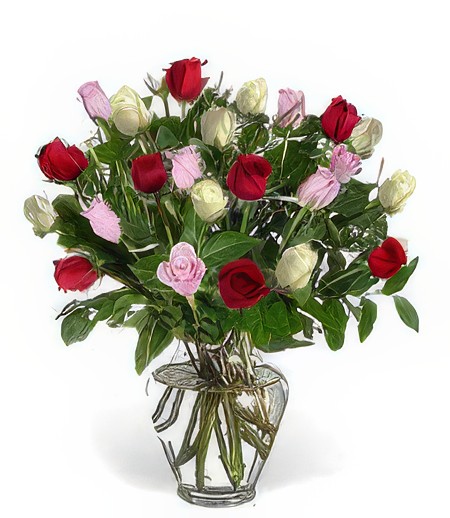 Two-Dozen Assorted Love Roses