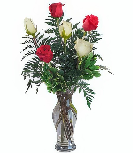 Half-Dozen Red & White Anniversary Roses