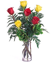 Half-Dozen Red & Yellow Birthday Roses