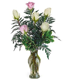 Half-Dozen White & Pink Anniversary Roses