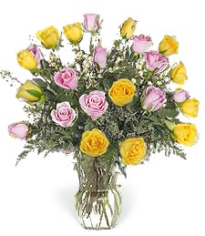 2-Dz Yellow & Pink Thinking of You Roses