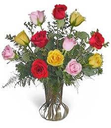 1-Dozen Assorted Congratulations Roses