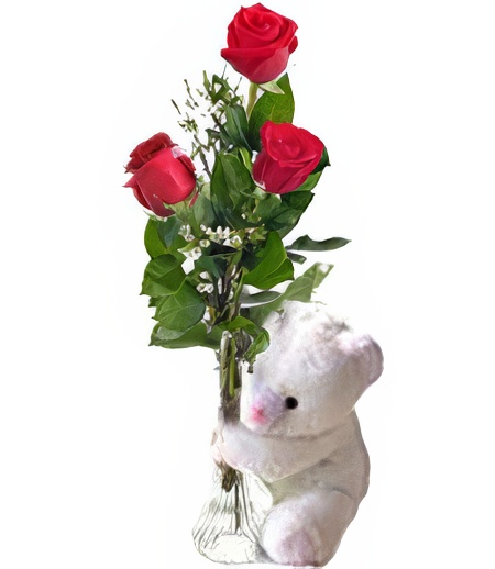 3 Red 'Just Because' Roses & Bear