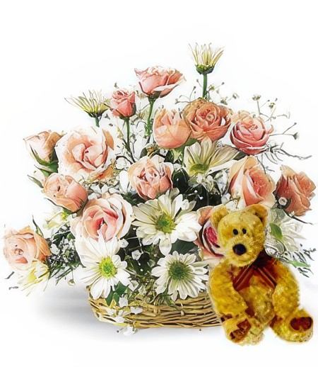 Roses and Bears