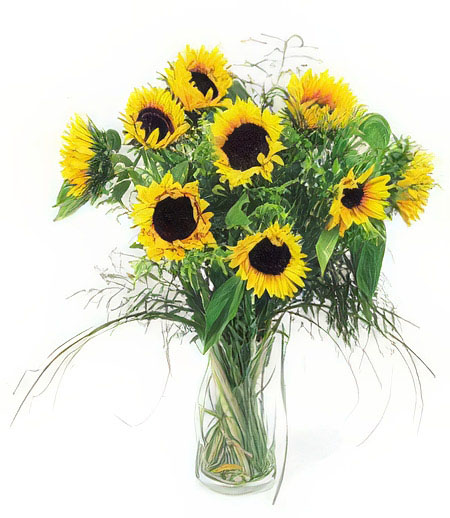 Birthday Sunflowers