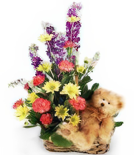 Spring Meadow Thinking of You Basket & Cuddly Bear