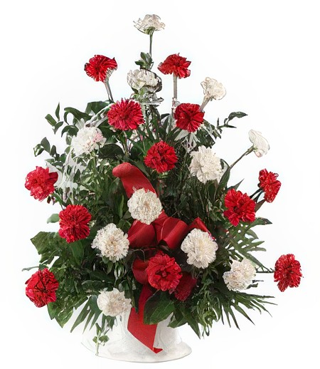 Carnations in a Basket