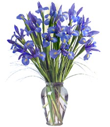 Blooming Iris Bouquet