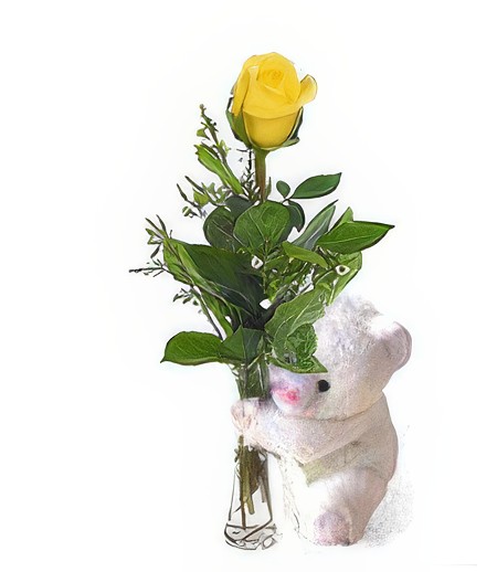 One Perfect Rose and Bear