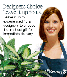 Designer's Choice Plants