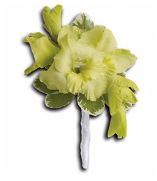 Exotic Gladiolous Boutonniere