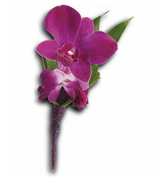 An Essence of Orchid Boutonniere