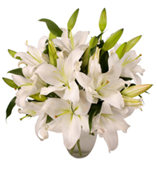 7st White Oriental Liles W VASE