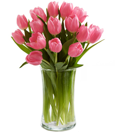 Pink Prelude Tulip Bouquet with FREE Glass Vase