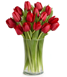 Red Carpet Ready Tulip Bouquet - 15 Stems