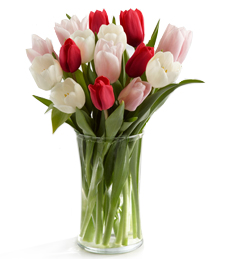 Here in My Heart Tulip Bouquet - 15 Stems