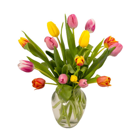 15 Tulip Assortment w/vase
