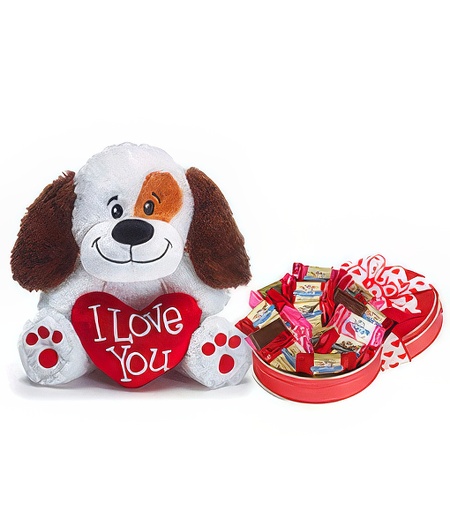 Valentine Sweets w/ I Love You Plush Puppy Gift Set