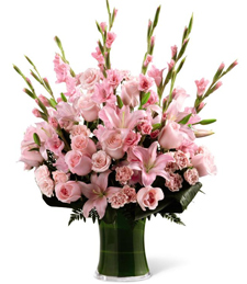 Dazzled in Pink