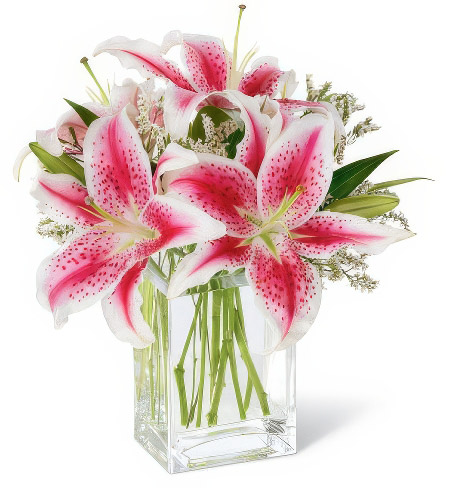 Lucky Star Sympathy Bouquet